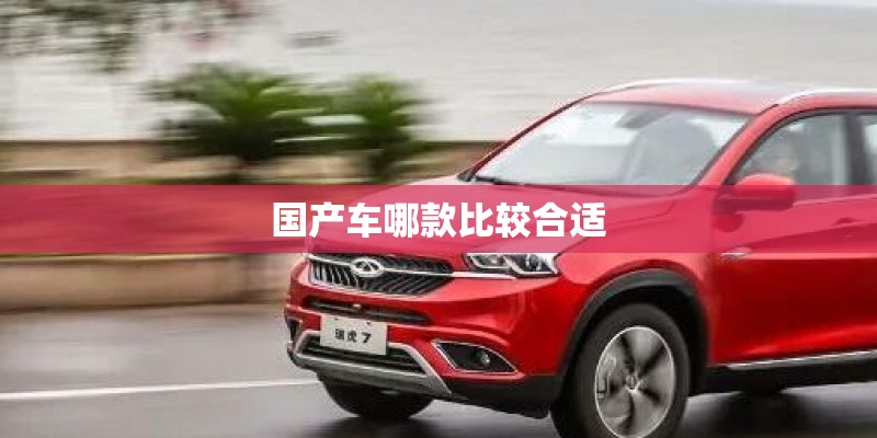 国产车哪款比较合适