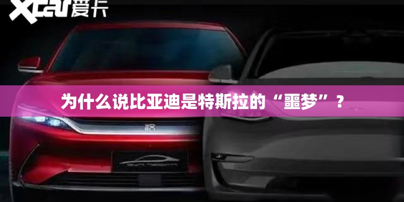为什么说比亚迪是特斯拉的“噩梦”？