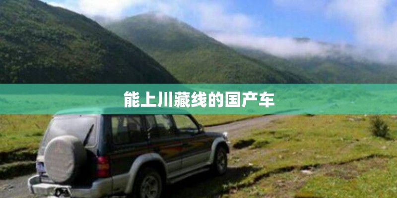 能上川藏线的国产车