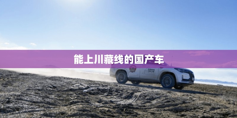 能上川藏线的国产车