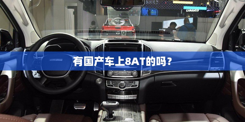 有国产车上8AT的吗？