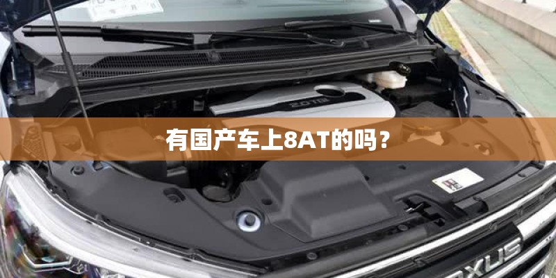 有国产车上8AT的吗? 有国产车上8AT的吗?