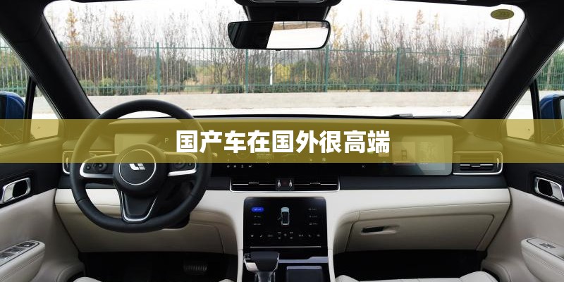 国产车在国外很高端