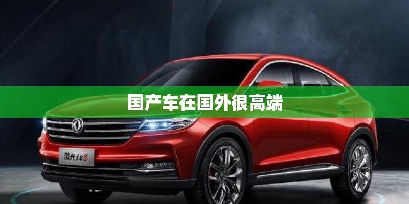 国产车在国外很高端