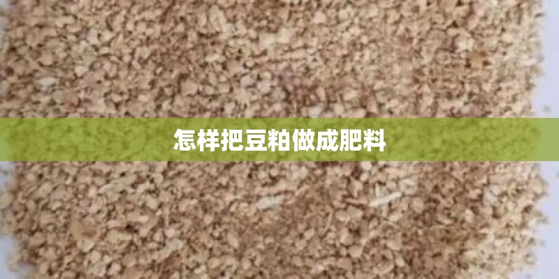 怎样把豆粕做成肥料