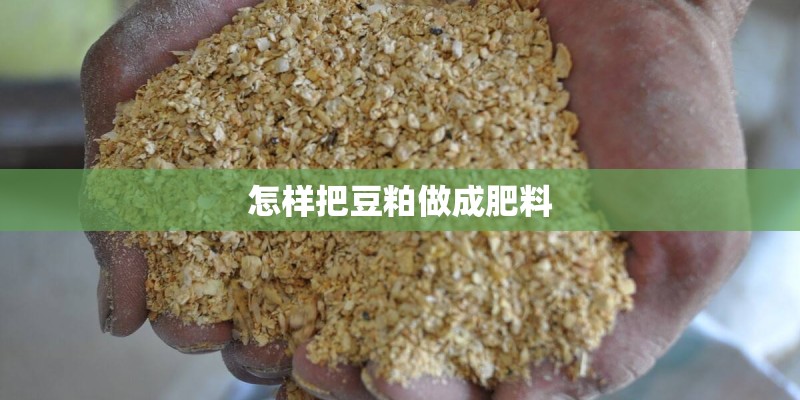 怎样把豆粕做成肥料