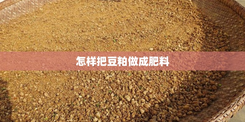 怎样把豆粕做成肥料