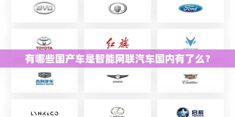 有哪些国产车是智能网联汽车国内有了么？