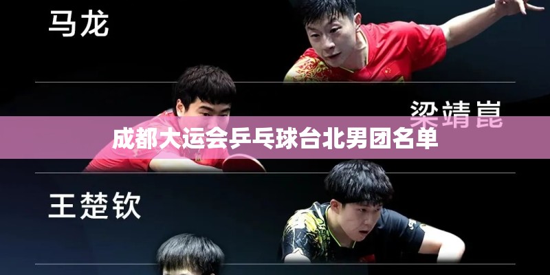 成都大运会乒乓球台北男团名单
