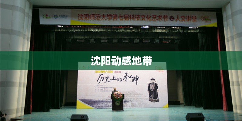 沈阳动感地带