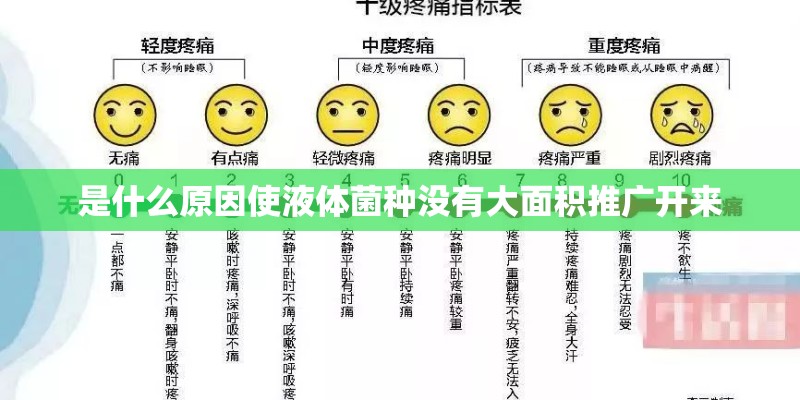 是什么原因使液体菌种没有大面积推广开来