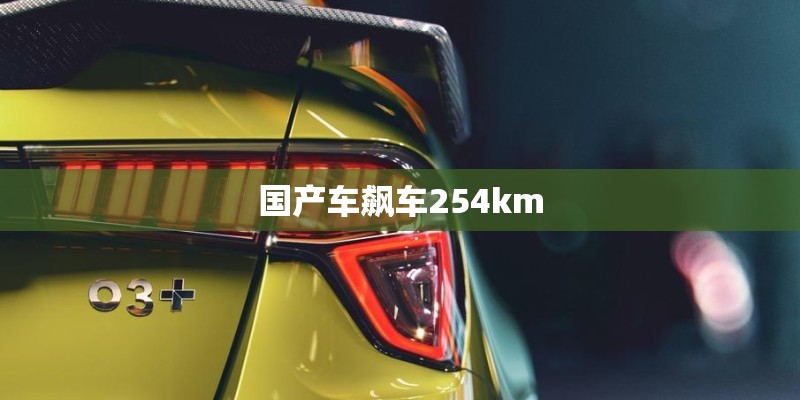 国产车飙车254km