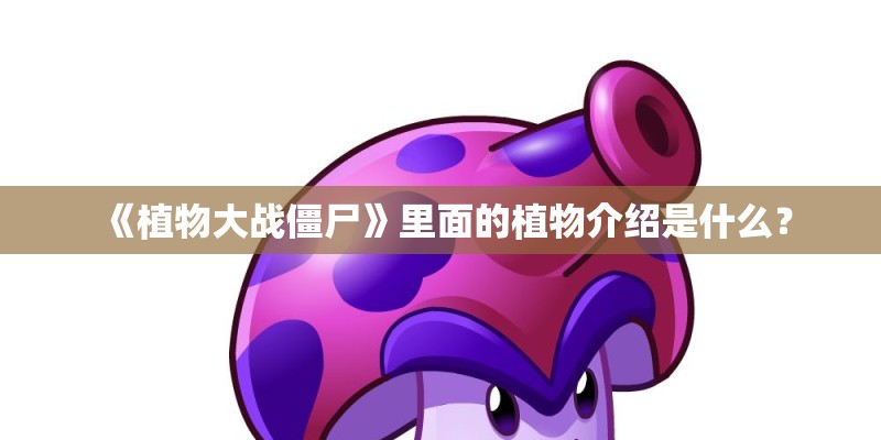 《植物大战僵尸》里面的植物介绍是什么? 《植物大战僵尸》里面的植物介绍是什么?