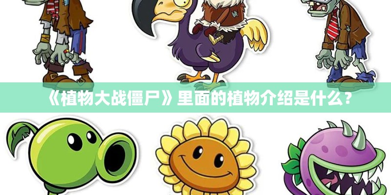 《植物大战僵尸》里面的植物介绍是什么? 《植物大战僵尸》里面的植物介绍是什么?