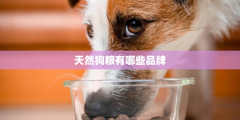 天然狗粮有哪些品牌