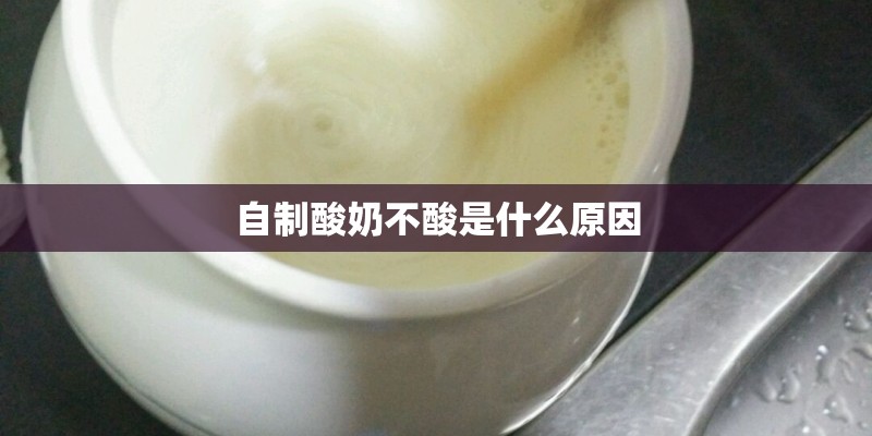 自制酸奶不酸是什么原因