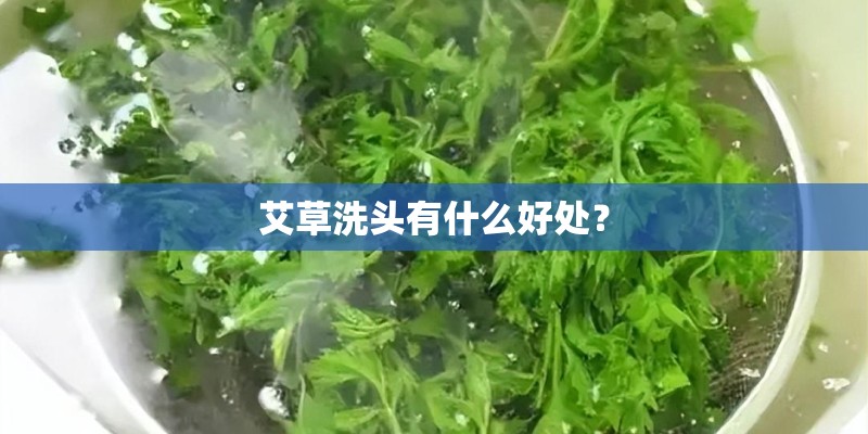 艾草洗头有什么好处？