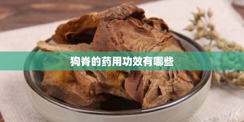 狗脊的药用功效有哪些