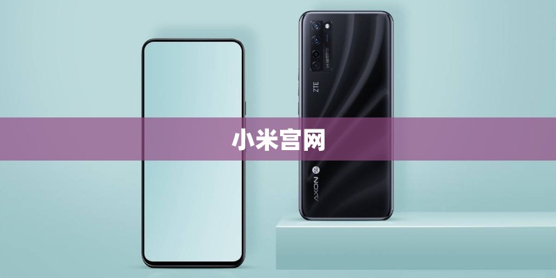 小米宫网