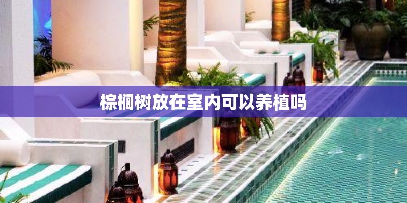 棕榈树放在室内可以养植吗 棕榈树放在室内可以养植吗