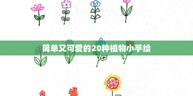 简单又可爱的20种植物小手绘