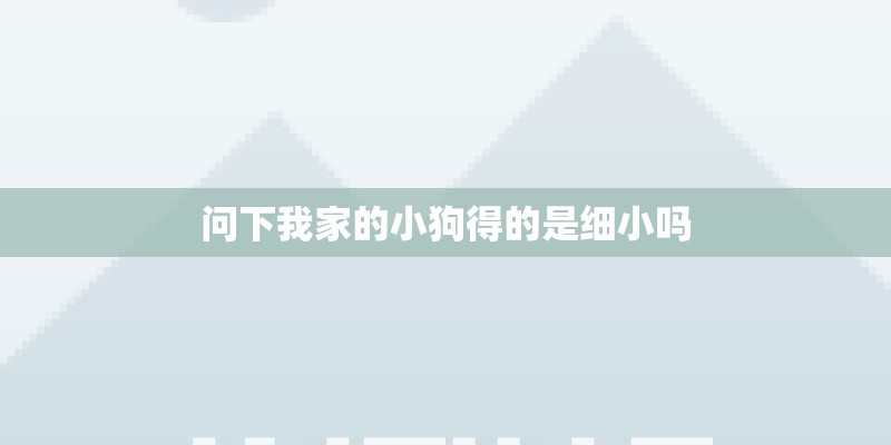 问下我家的小狗得的是细小吗