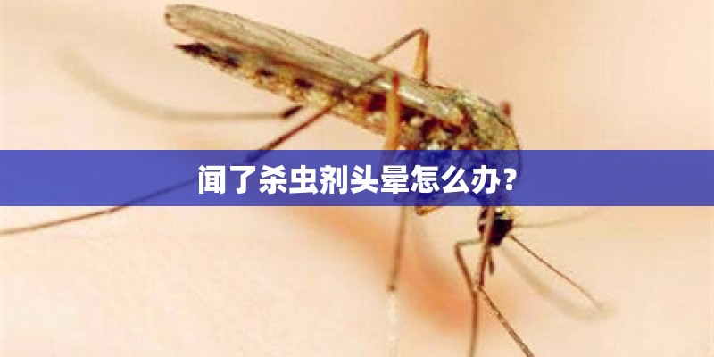 闻了杀虫剂头晕怎么办？