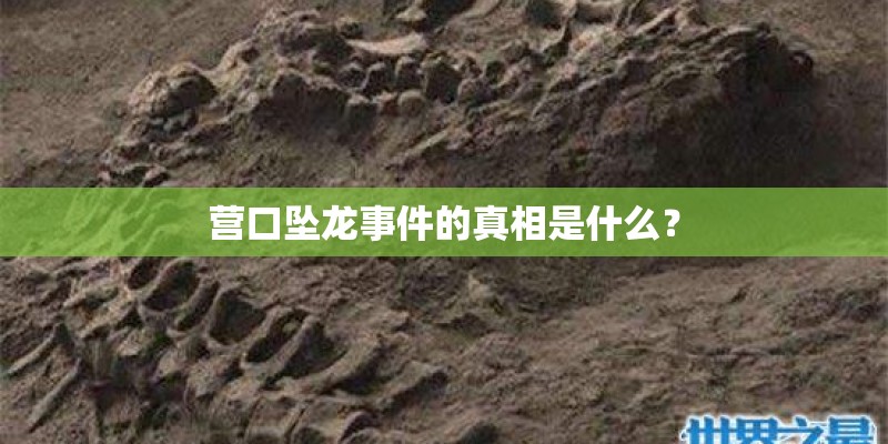 营口坠龙事件的真相是什么？