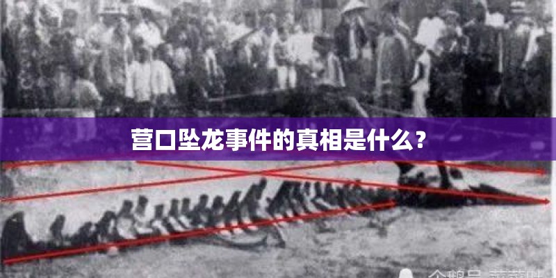 营口坠龙事件的真相是什么？