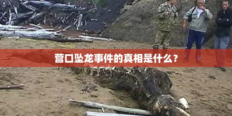 营口坠龙事件的真相是什么？