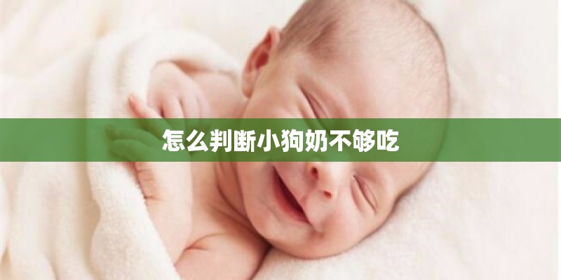 怎么判断小狗奶不够吃
