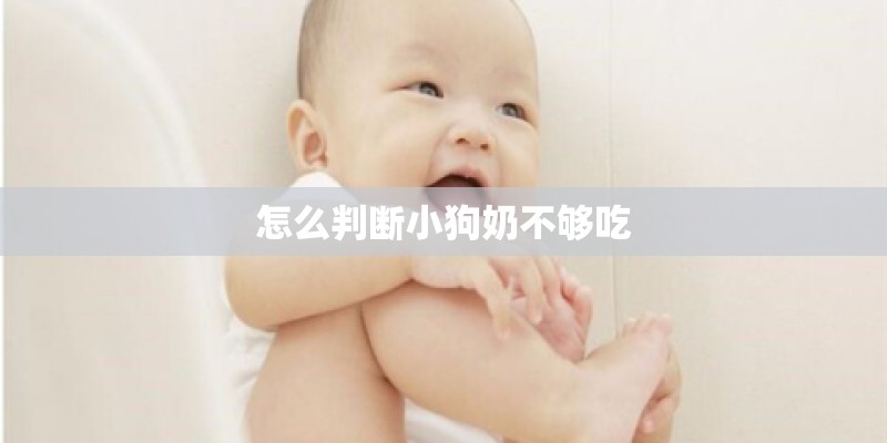 怎么判断小狗奶不够吃