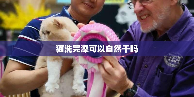 猫洗完澡可以自然干吗