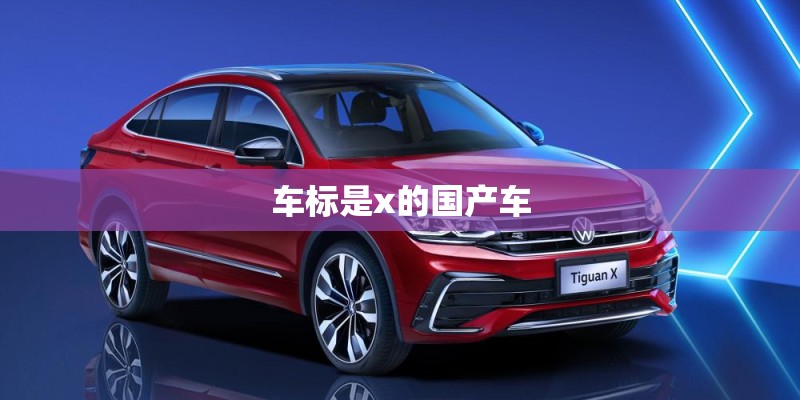 车标是x的国产车 车标是x的国产车
