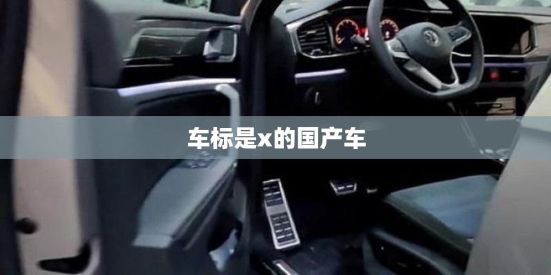 车标是x的国产车 车标是x的国产车