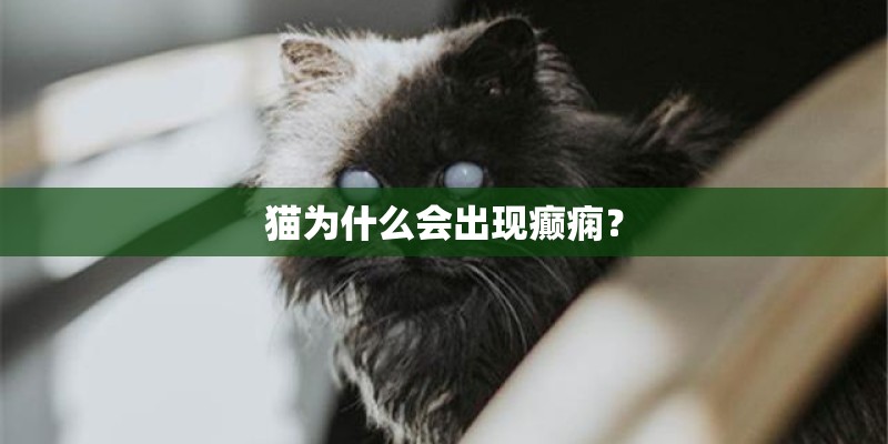 猫为什么会出现癫痫？