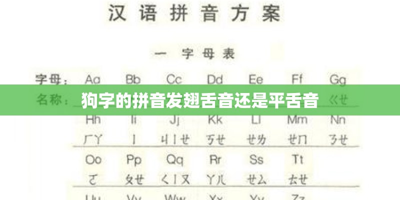 狗字的拼音发翅舌音还是平舌音