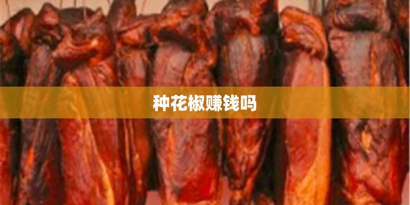 种花椒赚钱吗 种花椒赚钱吗