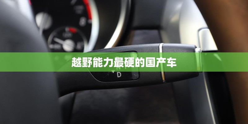 越野能力最硬的国产车
