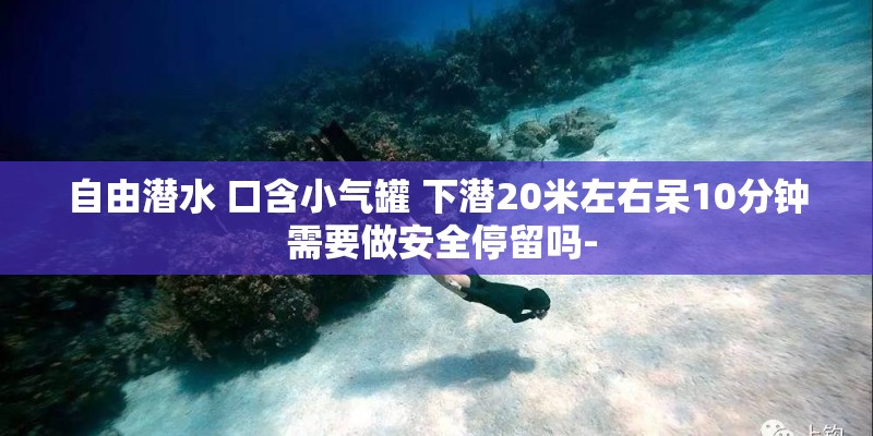 自由潜水 口含小气罐 下潜20米左右呆10分钟 需要做安全停留吗- 自由潜水 口含小气罐 下潜20米左右呆10分钟 需要做安全停留吗-