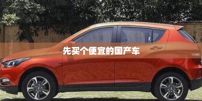 先买个便宜的国产车 先买个便宜的国产车