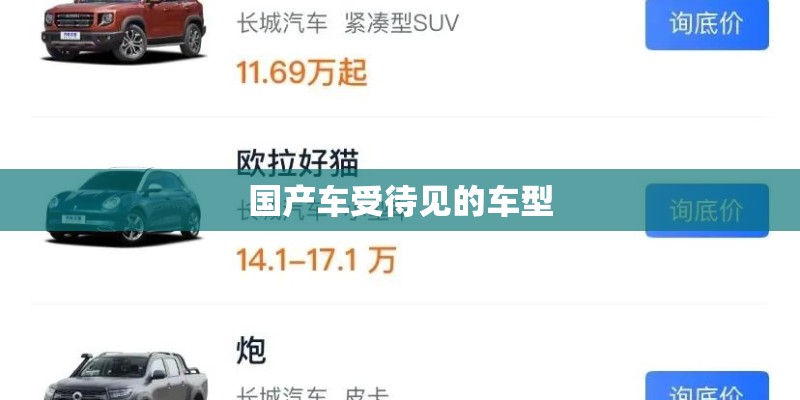 国产车受待见的车型