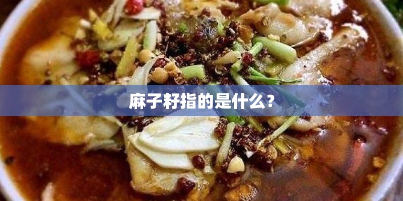 麻子籽指的是什么？