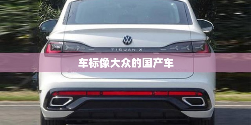 车标像大众的国产车