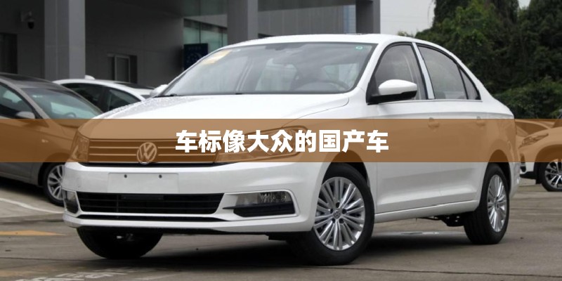 车标像大众的国产车