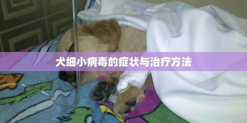 犬细小病毒的症状与治疗方法