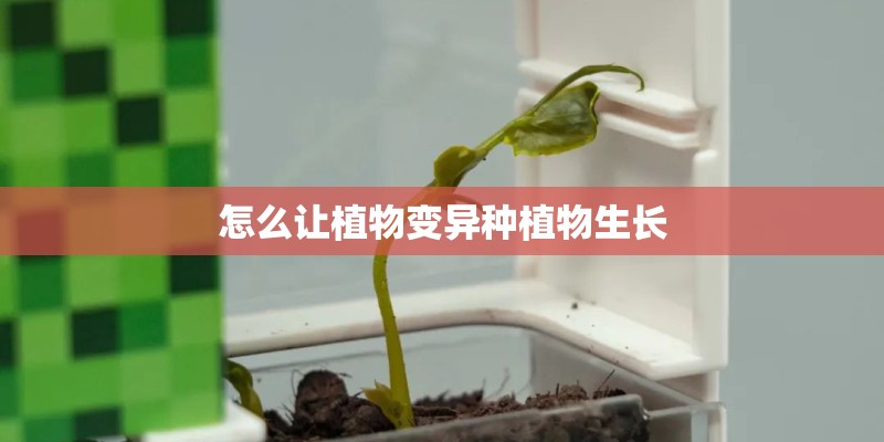 怎么让植物变异种植物生长
