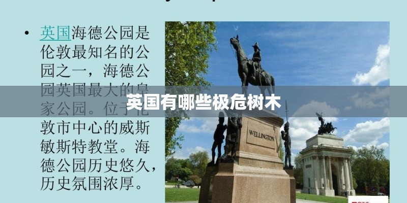 英国有哪些极危树木