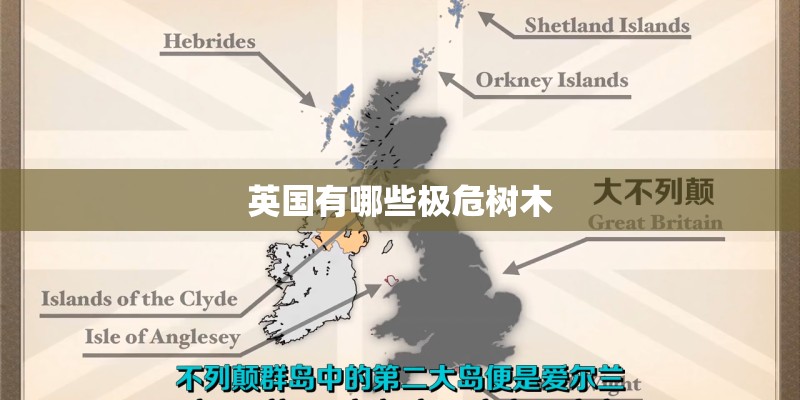 英国有哪些极危树木