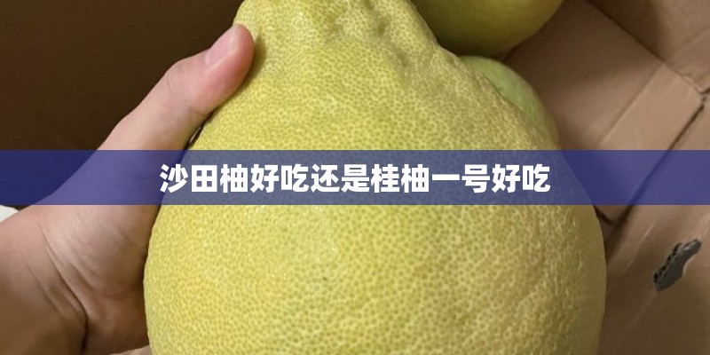沙田柚好吃还是桂柚一号好吃